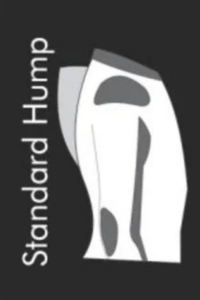 Standard Hump