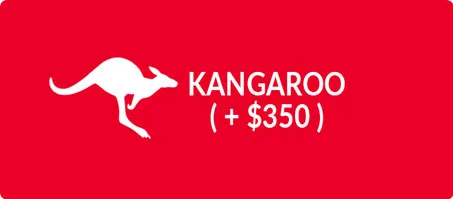 Kangaroo